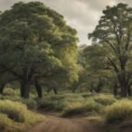 growing trees across various usda hardiness zones